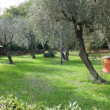 Bed and Breakfast Gli Ulivi Fosdinovo Exteriér fotografie