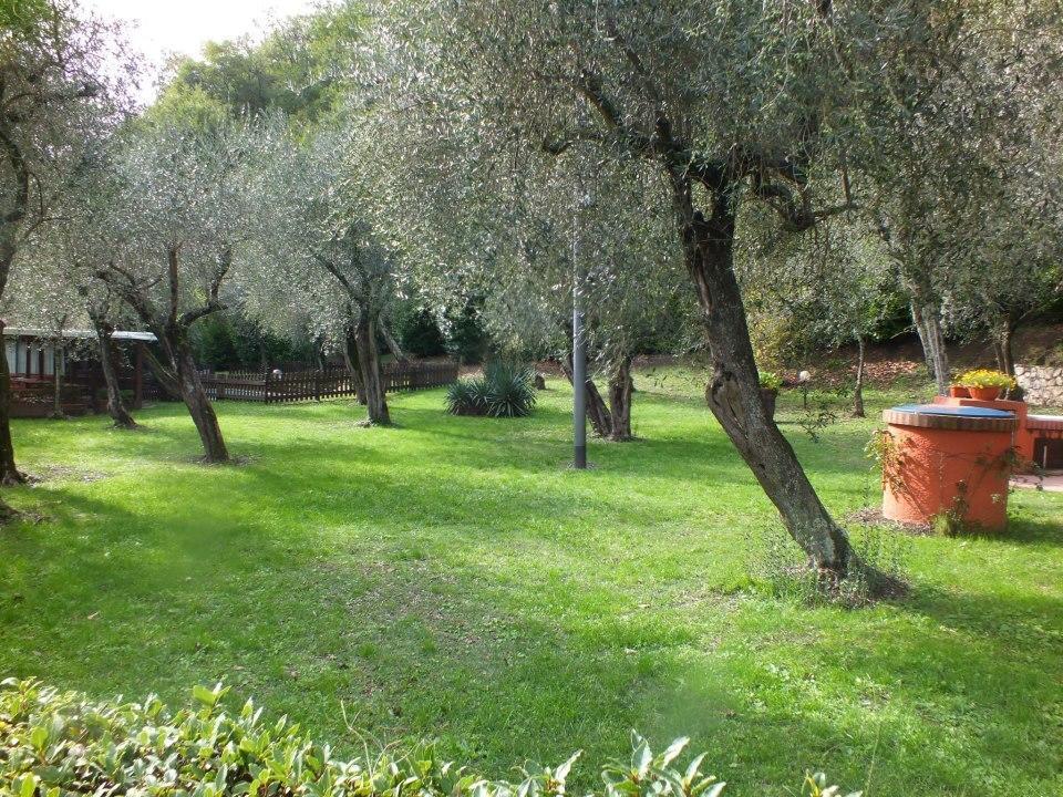 Bed and Breakfast Gli Ulivi Fosdinovo Exteriér fotografie